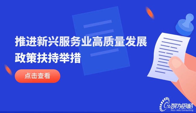 推進(jìn)新興服務(wù)業(yè)高質(zhì)量發(fā)展的政策扶持舉措.jpg