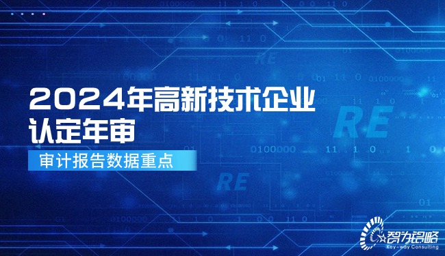 2024年高新技術企業認定年審—審計報告數據重點.jpg