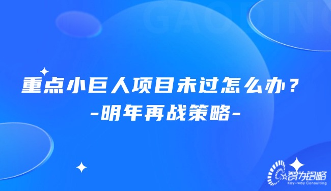 重點小巨人項目未過怎么辦？明年再戰策略.jpg